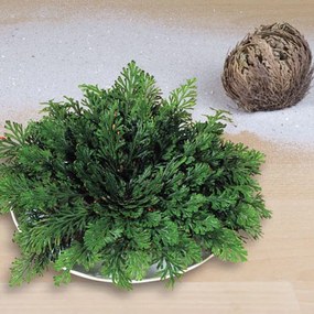 decoDoma Trandafir de Ierihon