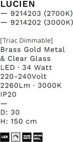 Lustra LED suspendata design decorativ LUCIEN 3000K