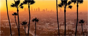 Tablou - Panorama din Los Angeles (120x50 cm)
