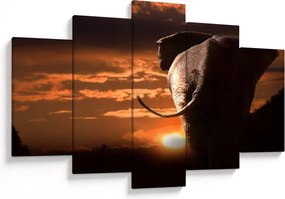 Tablou cu elefant (150x105 cm)