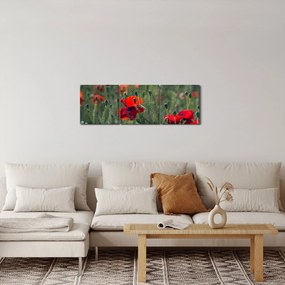 Tablou - Lunca cu maci (cu ceas) (90x30 cm)