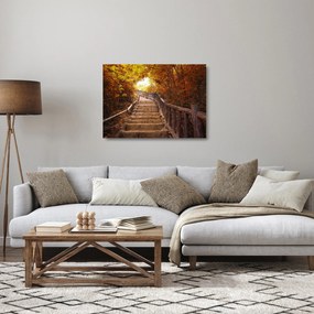 Tablou pe sticlă - Scări în natură în toamnă (70x50 cm)