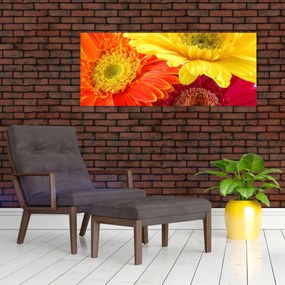 Tablou - Flori Gerbery (120x50 cm)
