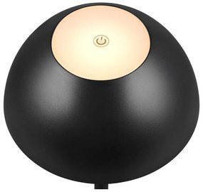 Corp de iluminat pentru exterior cu intensitate reglabilă ø 13,5 cm Ricardo – Reality