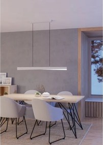 Eglo 901833 - Lustră suspendată pe cablu LED RGBW dimabilă BOLOGNANO-Z LED/19W/230V, gri
