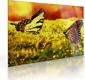 Tablou pe sticlă cu fluturi (70x50 cm)