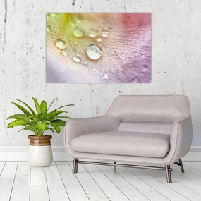 Tablou - Picături (90x60 cm)