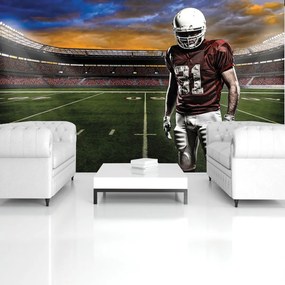 Fototapet - Stadionul american de fotbal (152,5x104 cm)