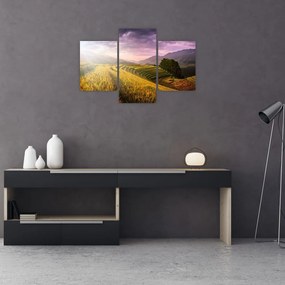 Tablou peisajului (90x60 cm)