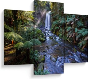 Tablou cu pădurea ploilor din Austalia (90x60 cm)