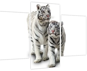 Tablou - Tigrul alb (90x60 cm)