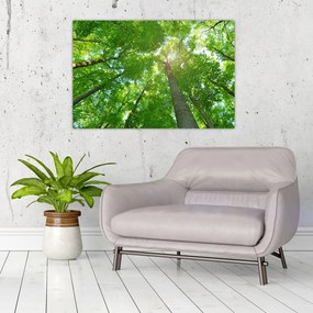 Tablou - Lunca (90x60 cm)