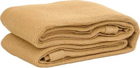 vidaXL Covor pentru cort, nisipiu, 250x500 cm, HDPE