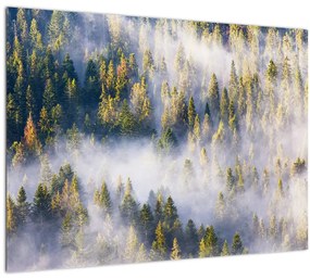 Tablou pe sticlă - Copac în ceață (70x50 cm)