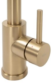 REA-B4821 - Baterie pentru chiuvetă COLIN, cu pulverizator extractibil, 42,5 cm, aur periat