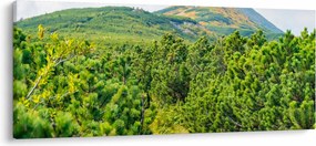 Tablou - Babi Hora, Polonia (120x50 cm)