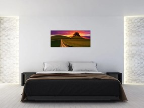 Tablou câmpului cu apus de soare (120x50 cm)