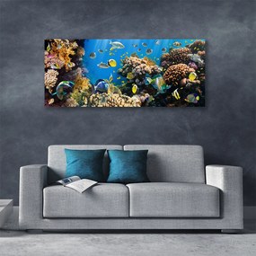 Tablou pe panza canvas Coral Reef Natura Multi