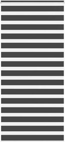 vidaXL Jaluzea tip zebra neagră lățime țesătură 100,9 cm poliester