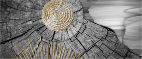 Tablou - Trunchiul copacului colaj (120x50 cm)