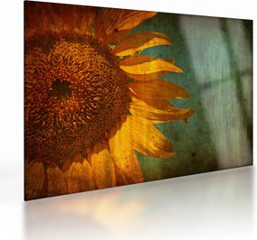 Tablou pe sticlă - Floarea soarelui (70x50 cm)