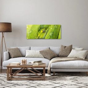 Tablou cu șarpe (120x50 cm)