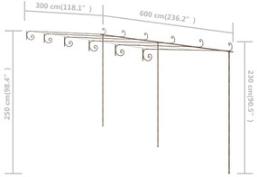 Pergola de gradina, maro antic, 6x3x2,5 m, fier 1, 6 x 3 x 2