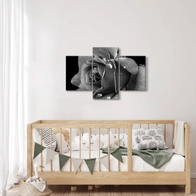 Tablou cu trandafir - albneagră (90x60 cm)