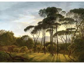 XXL foto tapet Old Forest 360 x 254 cm, 4 părți