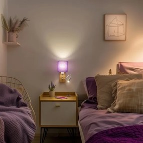 Lampă LED de perete Brilagi NUBILA WOOD 1xE27/25W/230V + LED/3W stejar/mov