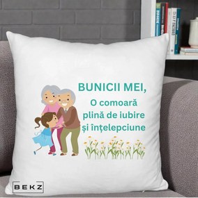 Cadou pentru Bunici - Perna Personalizata Bunicii Mei Comoara Iubire Intelepciune Nepoata, 40x40 cm, Alb Pufos, Husa Detasabila, Perna Inclusa, BEKZ®