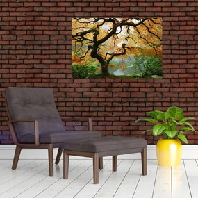 Tablou - Arțarul japonez galben, Portland, Oregon (90x60 cm)