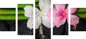 Tablou 5-piese wellness natura moartă
