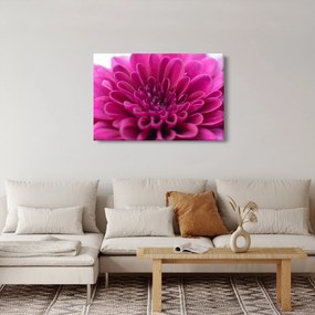 Tablou cu floare (90x60 cm)