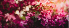 Tablou cu florile tufișului înflorit (120x50 cm)