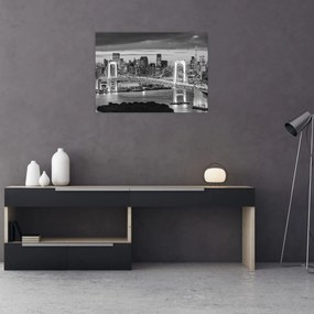 Tablou pe sticlă - Negru și alb oraș mare (70x50 cm)