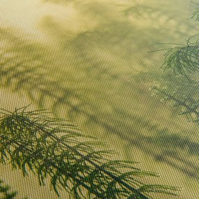 Tablou - Detaliu de primăvară natura cețoasă (120x50 cm)