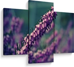 Tablou cu floare violetă (90x60 cm)