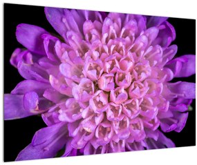 Tablou detailat cu floare (90x60 cm)