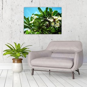 Tablou pe sticlă - Plumeria (70x50 cm)