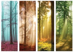Fototapet - Păduri (152,5x104 cm), în 8 de alte dimensiuni noi