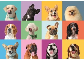 Animale Funny Faces Puzzle Clementoni de 300 de piese
