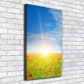 Tablou pe pânză canvas Câmp de maci