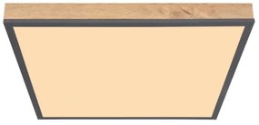 Plafonieră LED DORO LED/24W/230V Globo 416080WD2