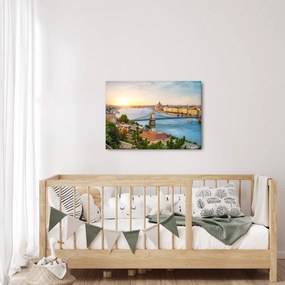 Tablou cu orașul Budapesta și râu (70x50 cm)