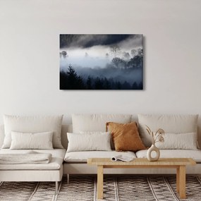 Tablou cu ceță deasupra pădurii (90x60 cm)