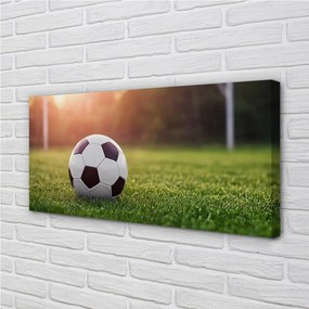 Tablouri canvas gateway-ul de fotbal cu gazon