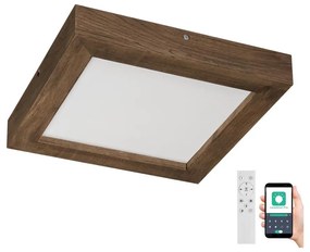 Plafonieră LED dimabilă Brilagi WOODY FRAME LED/24W/230V stejar 30x30 cm IP44 + telecomandă