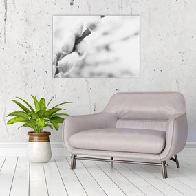 Tablou pe sticlă - Începutul primăverii (70x50 cm)