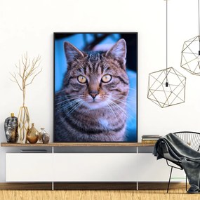 Poster - Pisica (A4)